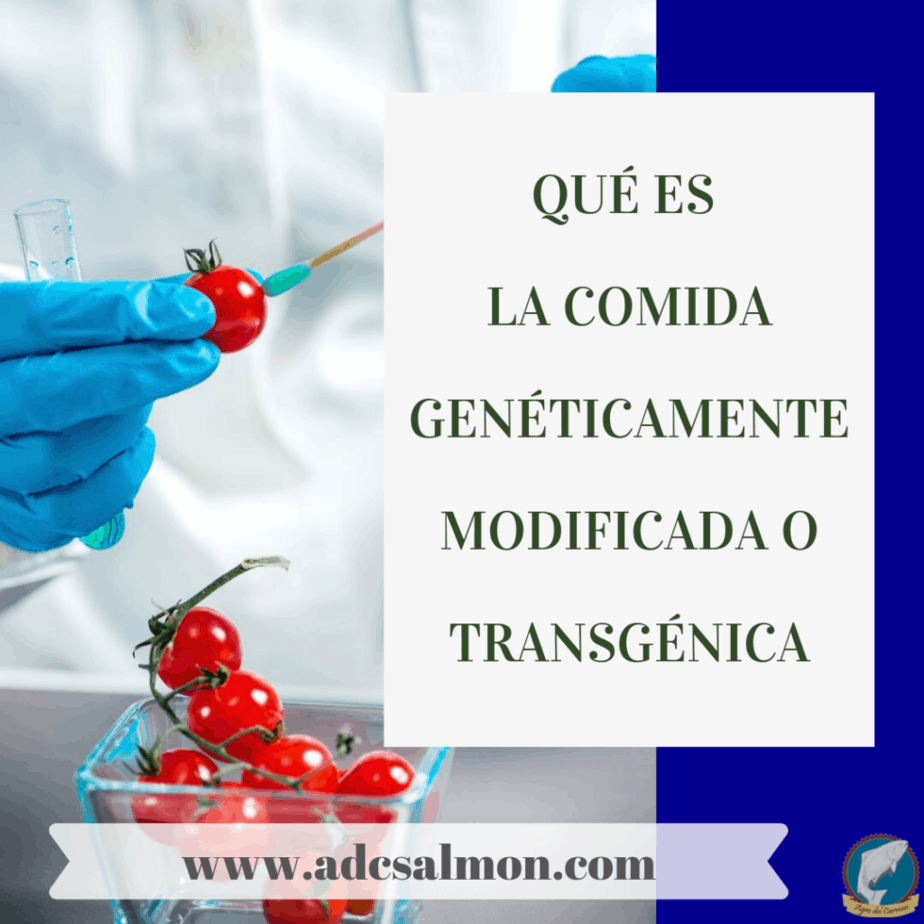 Qué es la comida genéticamente modificada o transgénica